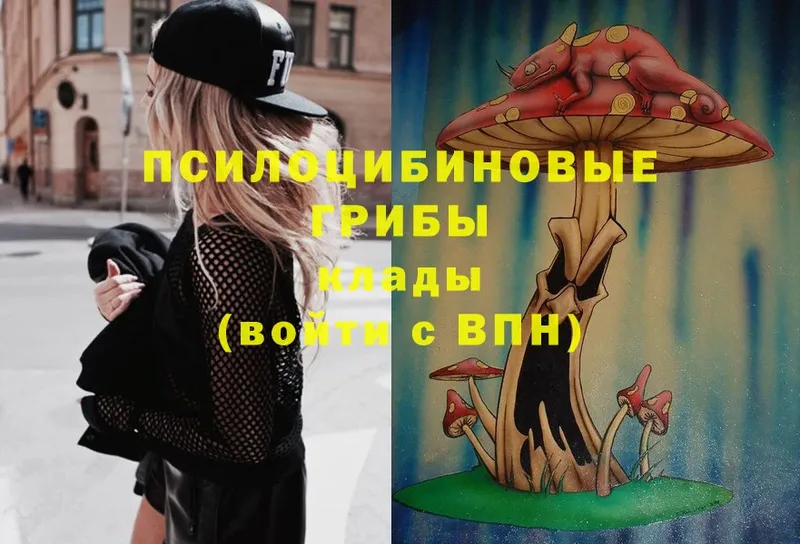 Галлюциногенные грибы Cubensis  Сарапул 